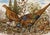 Bring the charm of an Italian country table to your home with this vintage transferware serving set, sourced in Italy. The...