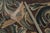 Textile Rug & Kilim’s Armorial Tudor Style Rug in Black, With Beige, Blue and Gold Tones For Sale - Image 7 of 7