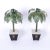 Pair of tole Palm Tree candlesticks set in classical planter style bases with lion head ring handles, white stones, and...