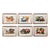 Sunqua China Trade Pith Paper Paintings, Set of Six Still Lifes of Fruit, Vegetables and Flowers For Sale