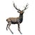 Bronze Twelve-Point Stag Garden Sculpture For Sale - Image 17 of 18