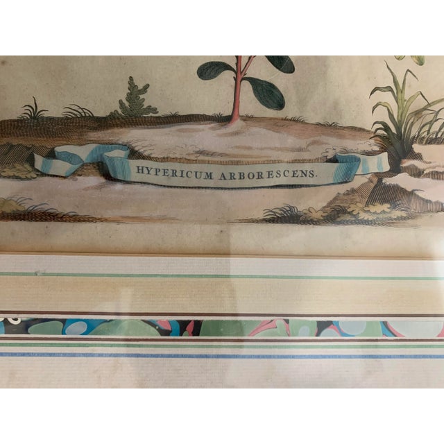 Textile Vintage Modern Cotton Appliqued Egyptian Panel For Sale - Image 7 of 9