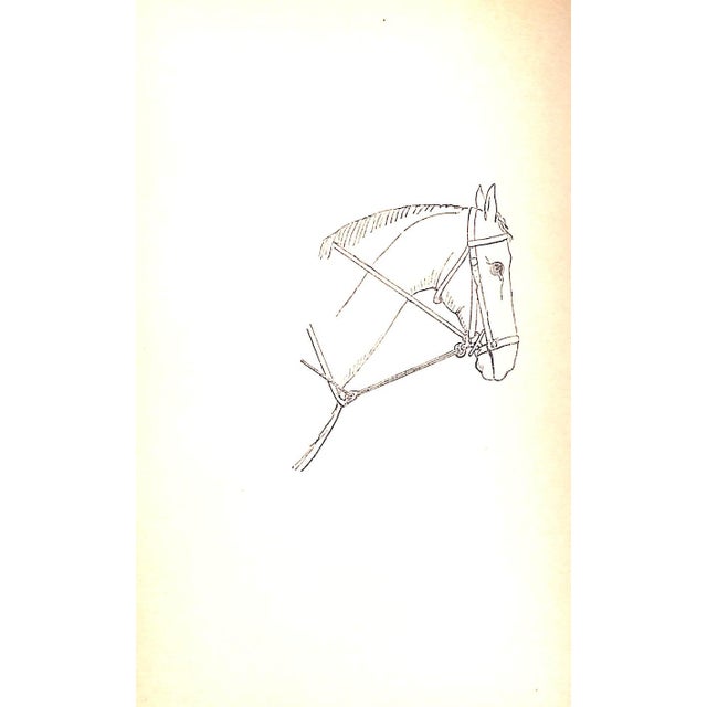 Mid 20th Century "Seats and Saddles" Dwyer, Francis For Sale - Image 5 of 8