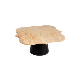 Marble Boromeo Coffee Table by Salvatore Spataro For Sale