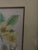 19th Century Mid-Century Framed Mark Catesby "Stuartia Silky Camellia" Botanical Print, Coffey & Thompson For Sale - Image 5 of 12