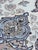 Pasargad Beige Persian Isfahan Silk & Wool For Sale - Image 16 of 18