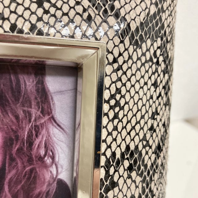 Decorative Faux Python Picture Frame | Chairish