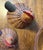 Chestnut Boho Shanghai Weave Chicken Baskets For Sale - Image 8 of 12