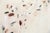 Textile Large Original Abstract Painting by Margot Sinclair For Sale - Image 7 of 11