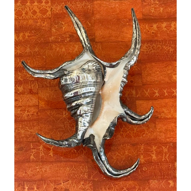Ruzzetti and Gow Silvered Large Shell For Sale - Image 12 of 12