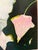 “Flower Eater” Wolf Painting by LWren Walraven For Sale - Image 9 of 13