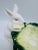 Such a cute decorative bowl! This happy bunny has his own cabbage bowl! Cute for candy or by itself!