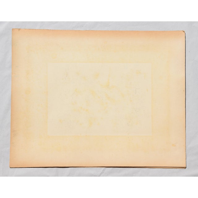 Egbert Bruckner, Dense Abstraction, 1952, Ink For Sale - Image 10 of 12