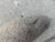 1970s Mid Century Modern Granite Elephant For Sale - Image 5 of 6