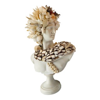 Medium Apollo Shell-Encrusted Bust For Sale