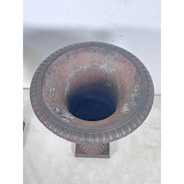 Metal Antique 19th Century Cast Iron Neoclassical Garden Urns - A Pair For Sale - Image 7 of 9
