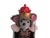 Mouse King Nutcracker 24 Tall No Box Guc Wood Faux Fur For Sale In Phoenix - Image 6 of 7