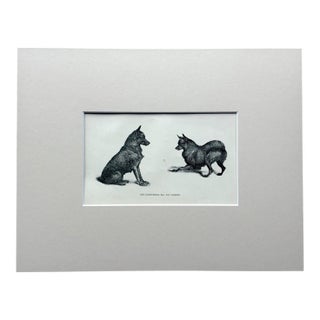 Antique Dog Print in 8x10 Mat, ca. 1890: "The Schipperkes Mia and Drieske" For Sale