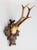 A fine antique roe deer antler horns hunting trophy on a carved black forest plaque, circa 1900. The plaque is hand carved...