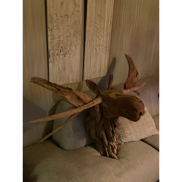 Tan Teak d'Elan Trophy, For Sale - Image 14 of 14