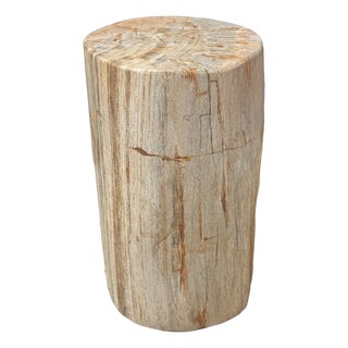 Small Side Table in Petrified Wood, 1980s For Sale