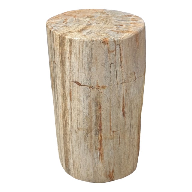 Small Side Table in Petrified Wood, 1980s For Sale
