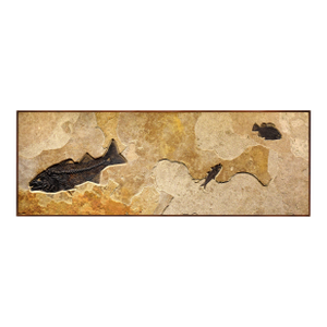 Fossil Fish Mural 8334cm