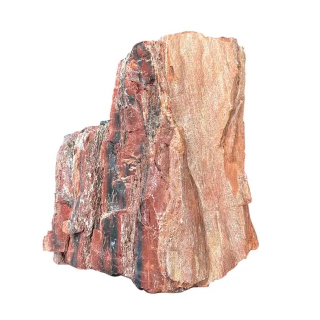 Terra Cotta Petrified Wood Sculpture, Organic Modern Design, #2 For Sale - Image 8 of 13