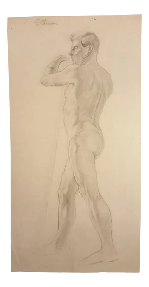 Drawing of Nude Male By Eileen Churm