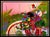 Pop Art 1990s BEAUTY PROFILE IN POP ART, Peter Max For Sale - Image 3 of 6
