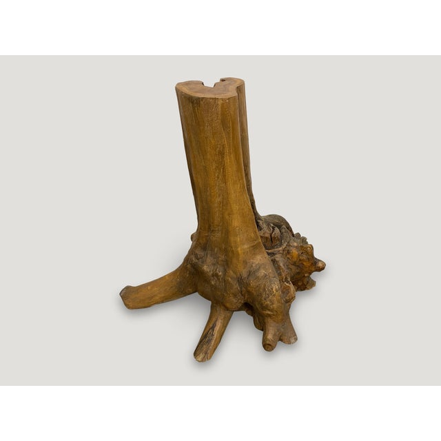 Contemporary Andrianna Shamaris Organic Teak Wood Root Side Table For Sale - Image 3 of 5
