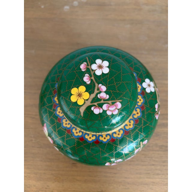 1940s Vintage Chinese Green Cloisonné Prunus Blossom Lidded Ginger Jar For Sale - Image 5 of 6