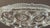 Vintage Daisy & Button Clear Pressed-Glass Pedestal Compote For Sale - Image 4 of 15