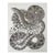 Mid 19th Century Snake Lithograph Us Pacifc Railroad Book Plate For Sale