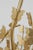 Farfalle Large Linear Chandelier in Gild Designer: Julie Neill Canopy: 6" Round Mounting: Chain Shade Detail: No Option...