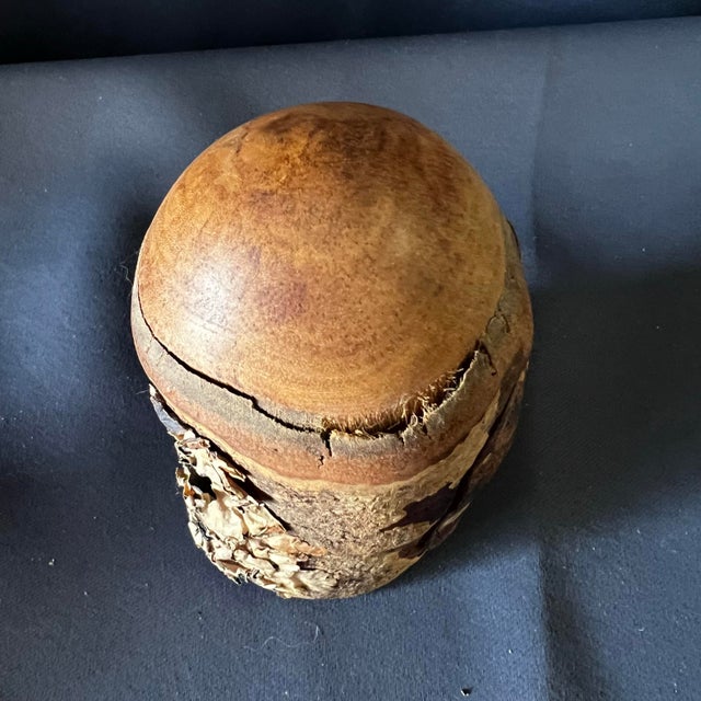 Signed Raymond Pelton 1982 Hand Carved Limb Wood Puzzle Box Sculpture For Sale - Image 12 of 12