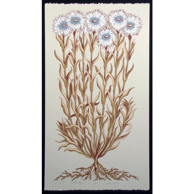 Jules Roch "Wild Carnations" Hand Signed Limited Edition Fine Art Serigraph For Sale In Denver - Image 6 of 6