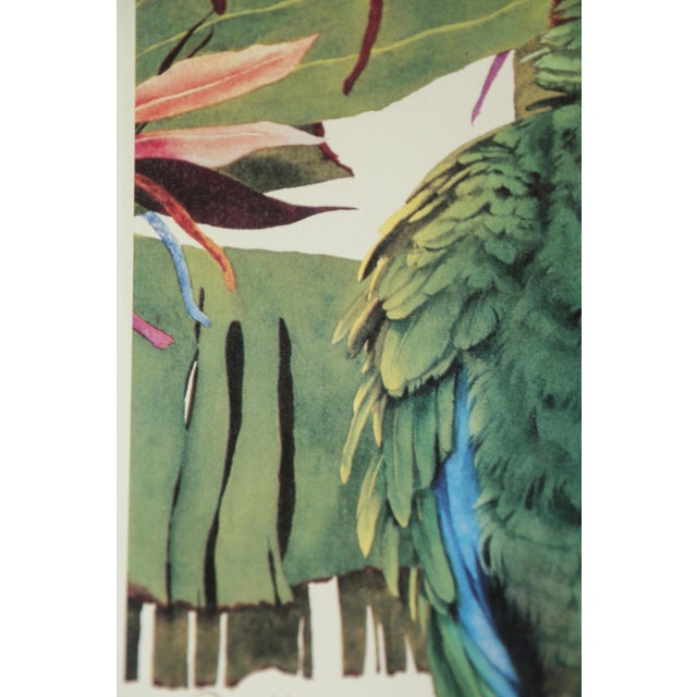 Framed Tropical Parrot Limited Edition Print Pam Mark 'Birds of Paradise' For Sale - Image 9 of 18