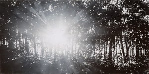 Chopstick Tree by Todd Carpenter | Oil on board Abstract depiction of light through a forest.