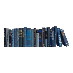 Decorative Books - Vintage Denim Books - Blue Books By The Foot