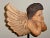 Vintage Hand Carved Cherub /Angel With Wings Figurine on Stand For Sale - Image 4 of 11