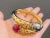 Bochic "Orient" South Sea Pear, Ruby & Sapphire Bangle Set In 18K Gold & Silver For Sale - Image 16 of 18