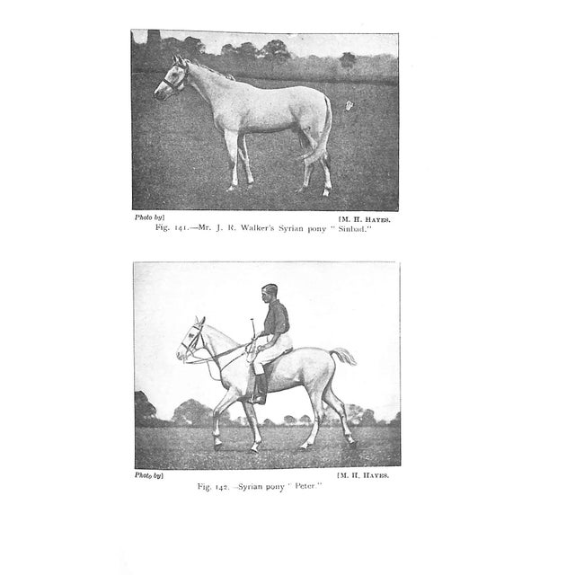 "Modern Polo" 1929 Lieut. Colonel E. D. Miller, c.b.e., d.s.o For Sale - Image 10 of 12
