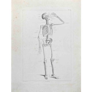 Paolo Mascagni, Anatomy, Plate 1, Etching, 1810 For Sale
