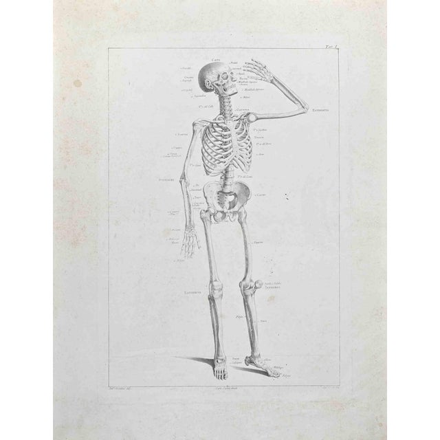 Paolo Mascagni, Anatomy, Plate 1, Etching, 1810 For Sale