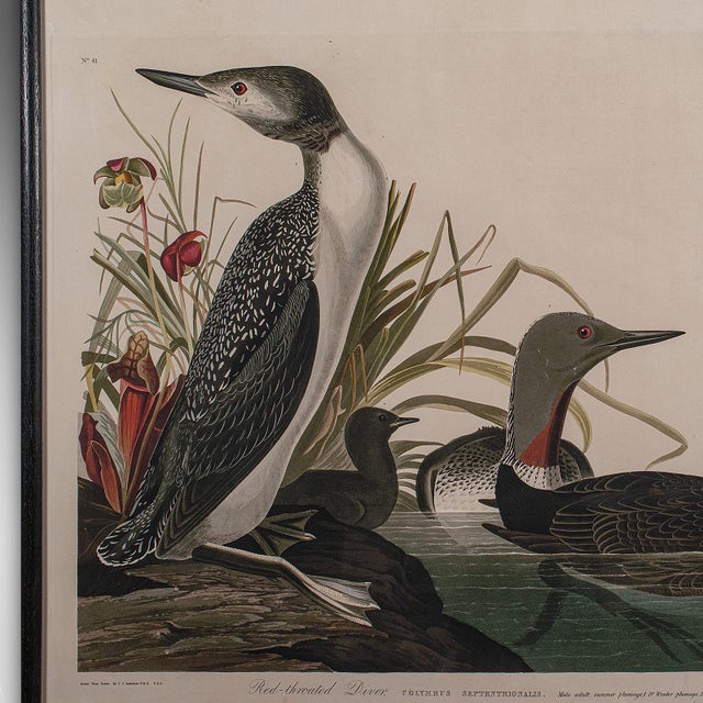 Glass Pair of Vintage Duck Pictures, English, Framed Print, After Audubon, Art, c.1980 For Sale - Image 7 of 9