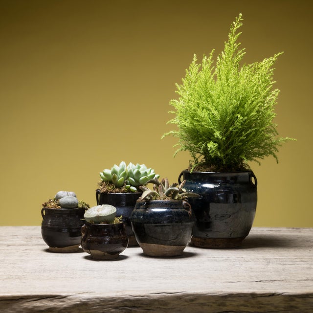 Chinese Petite Glazed Apothecary Jar, C. 1900 For Sale - Image 4 of 4