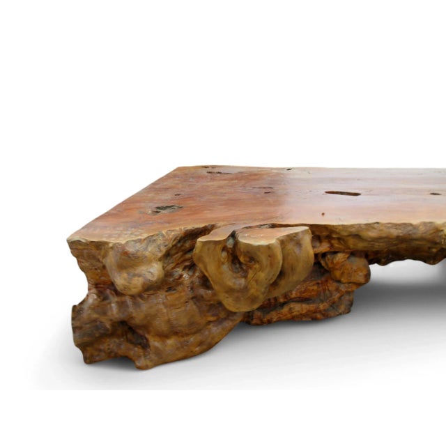 Organic Modern One Slab Lychee Burl Coffee Table For Sale - Image 11 of 12