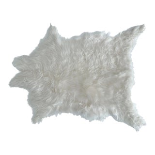 2010s Natural Argentine Wild Sheep Hide Throw For Sale
