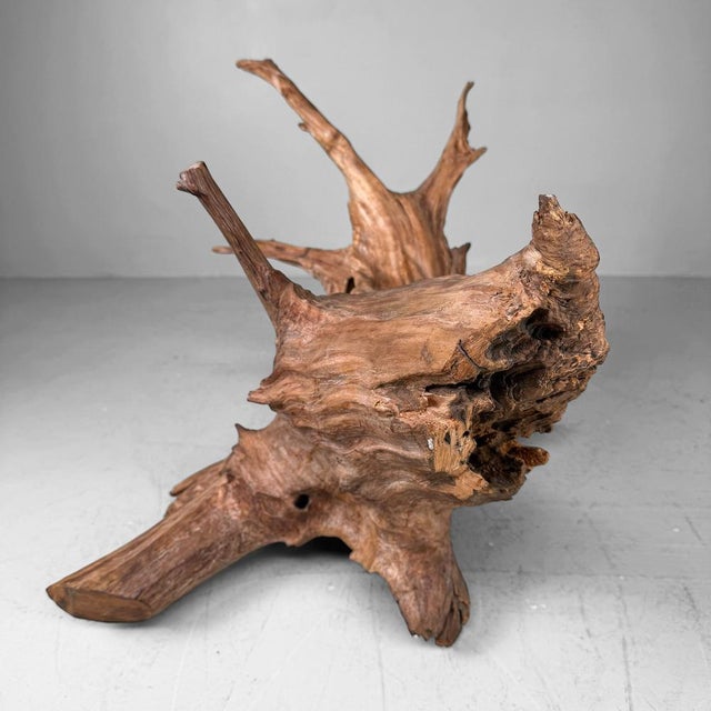 Japanese Koboku Root Wood Sculpture, 1960s For Sale - Image 12 of 13